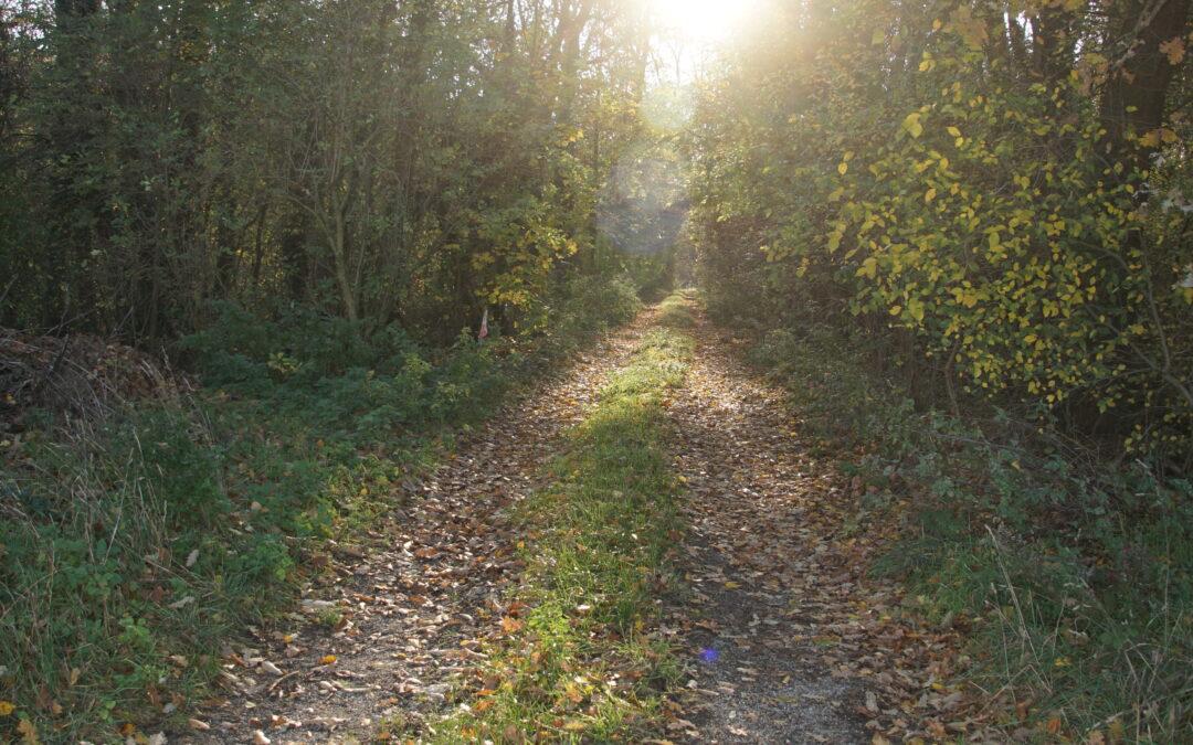 Minihof-Umgebung-2025