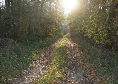 Minihof-Umgebung-2025